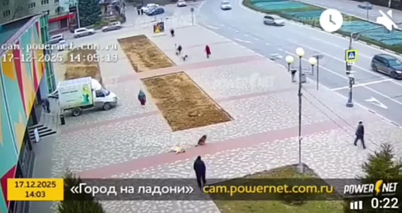 И снова проезд по тротуару к ЦУМу ⛔️