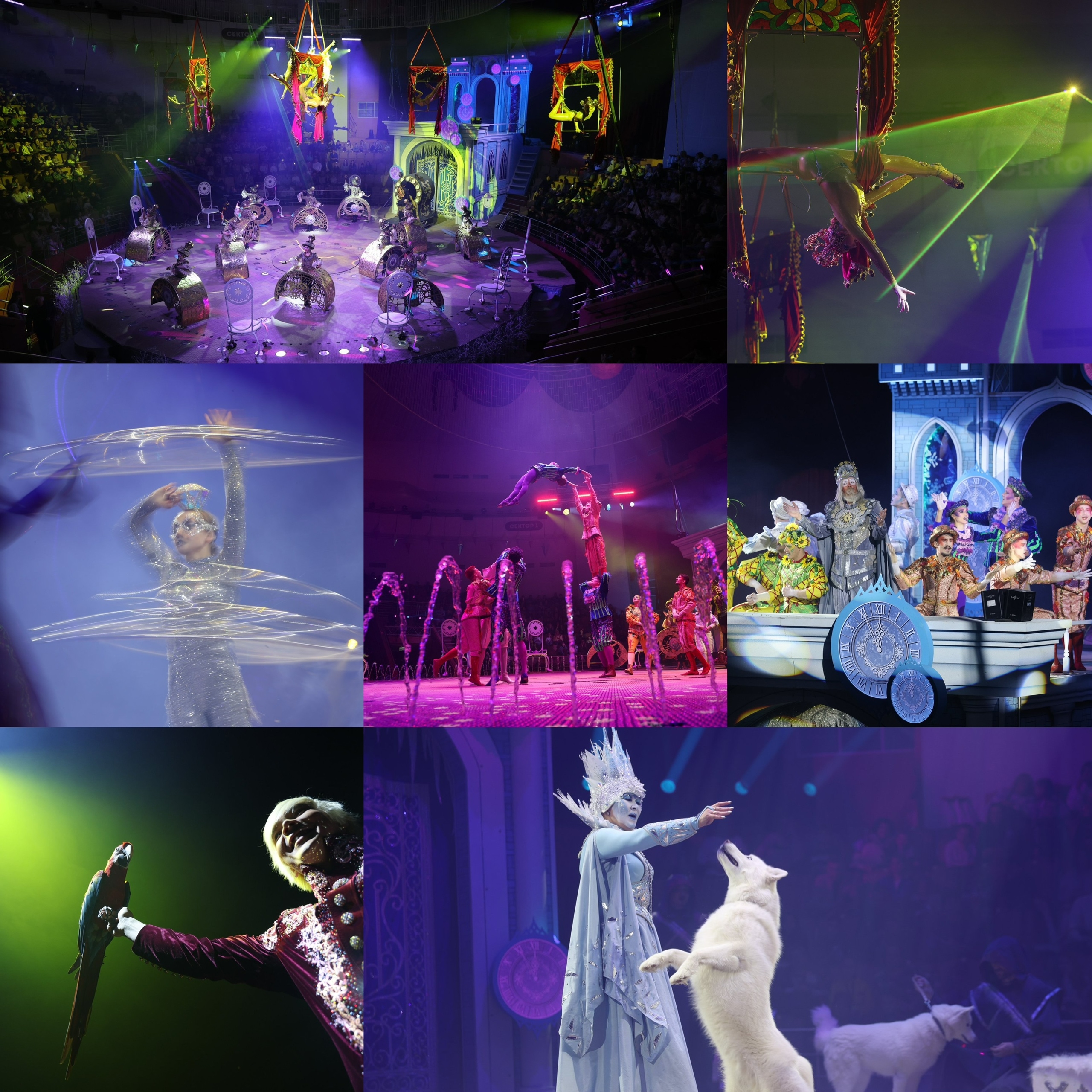 🎪 Цирк в Волгограде снова открылся! После трёх лет масштабной реконструкции — и он теперь прекрасен до последнего сантиметра.