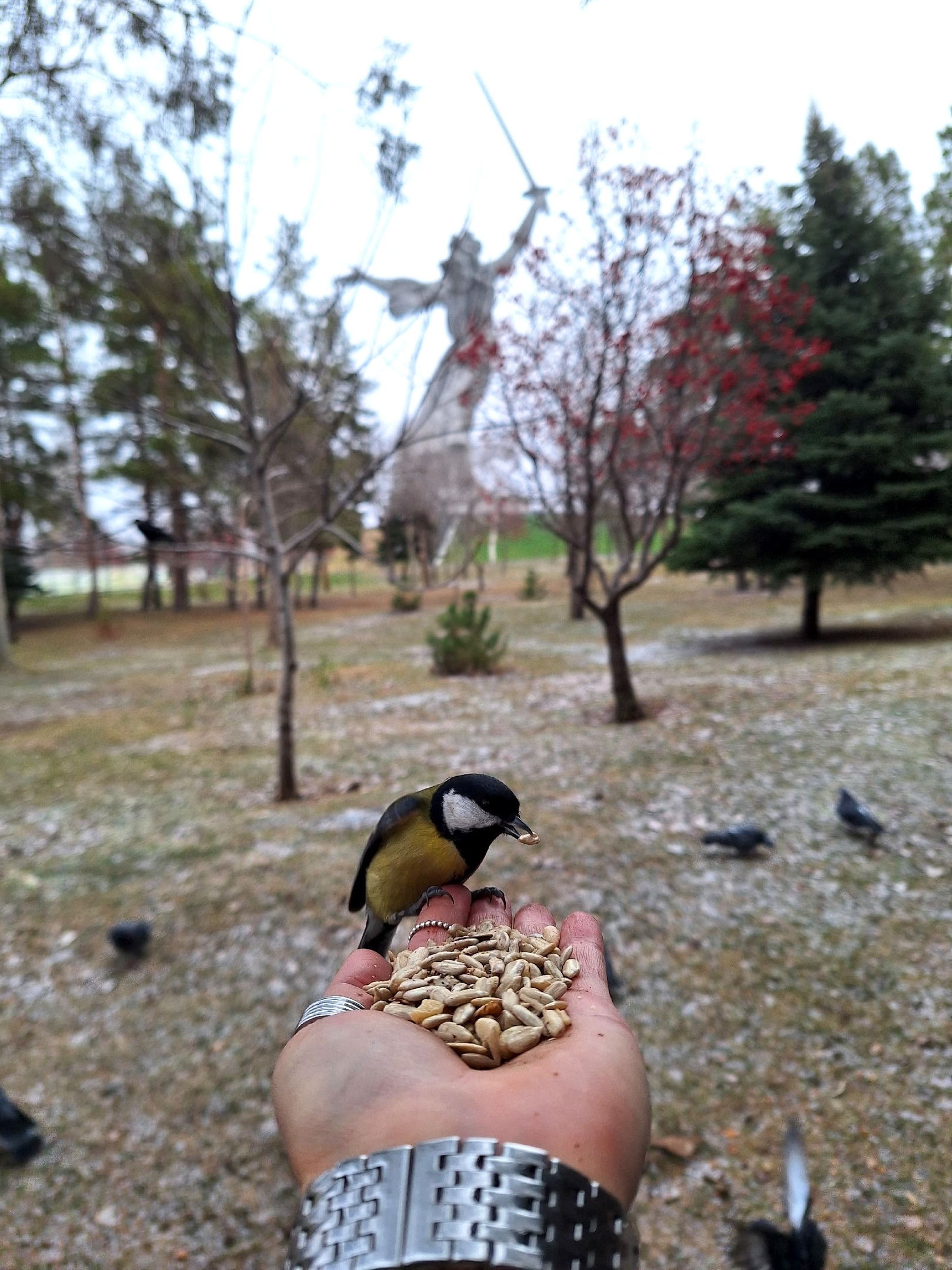 Доброе утро, Волгоград! ❤️