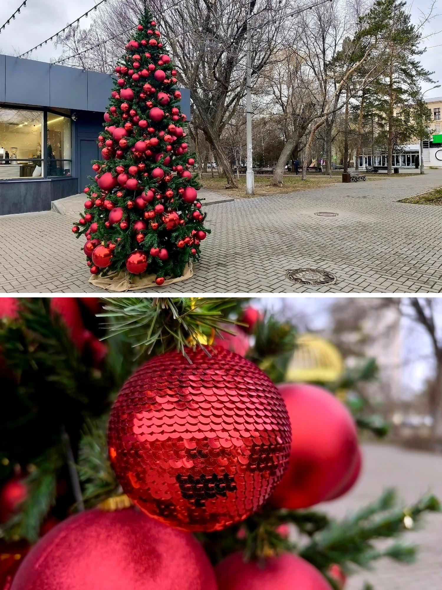Вот такая необычная и в то же время очень симпатичная ёлочка стоит посреди улицы в Ворошиловском районе! 👏🤩