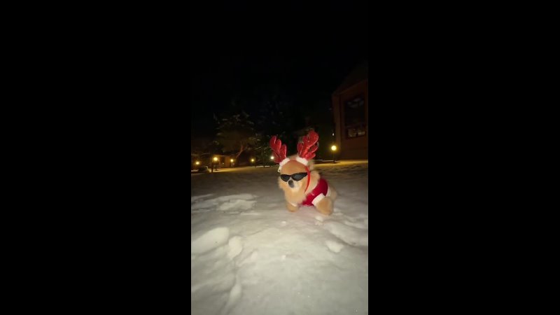 До Нового года осталось всего полторы недели