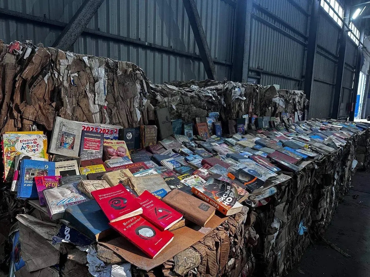 Волжане выкидывают тысячи книг на свалку 📚♻️