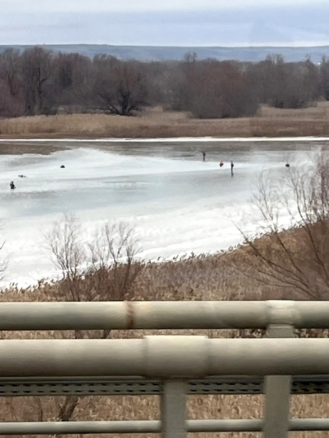 В Волгоградской области живут самые бесстрашные рыбаки! 🎣😱
