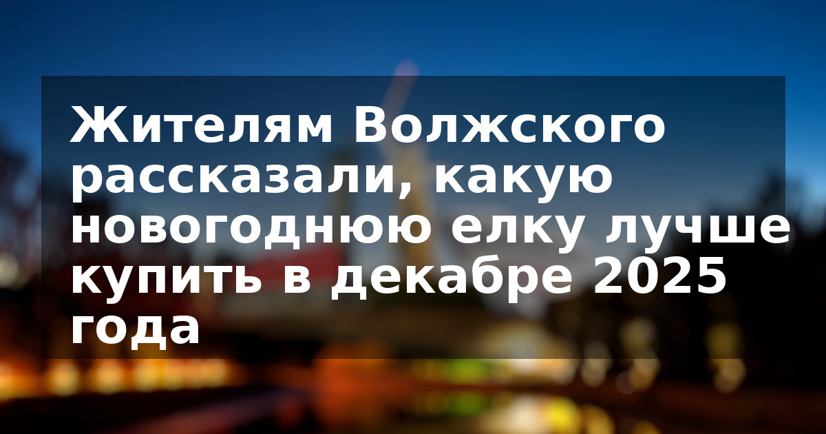 Жителям Волжского рассказали, какую новогоднюю елку лучше купить в декабре 2025 года