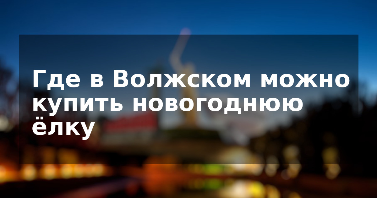 Где в Волжском можно купить новогоднюю ёлку