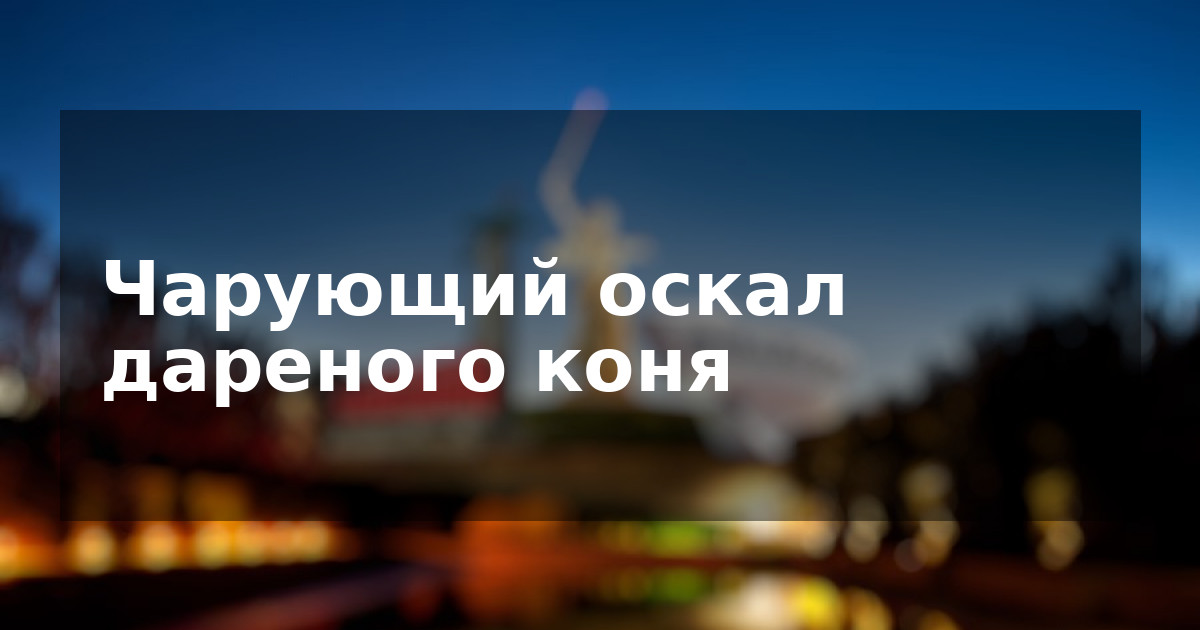 Чарующий оскал дареного коня