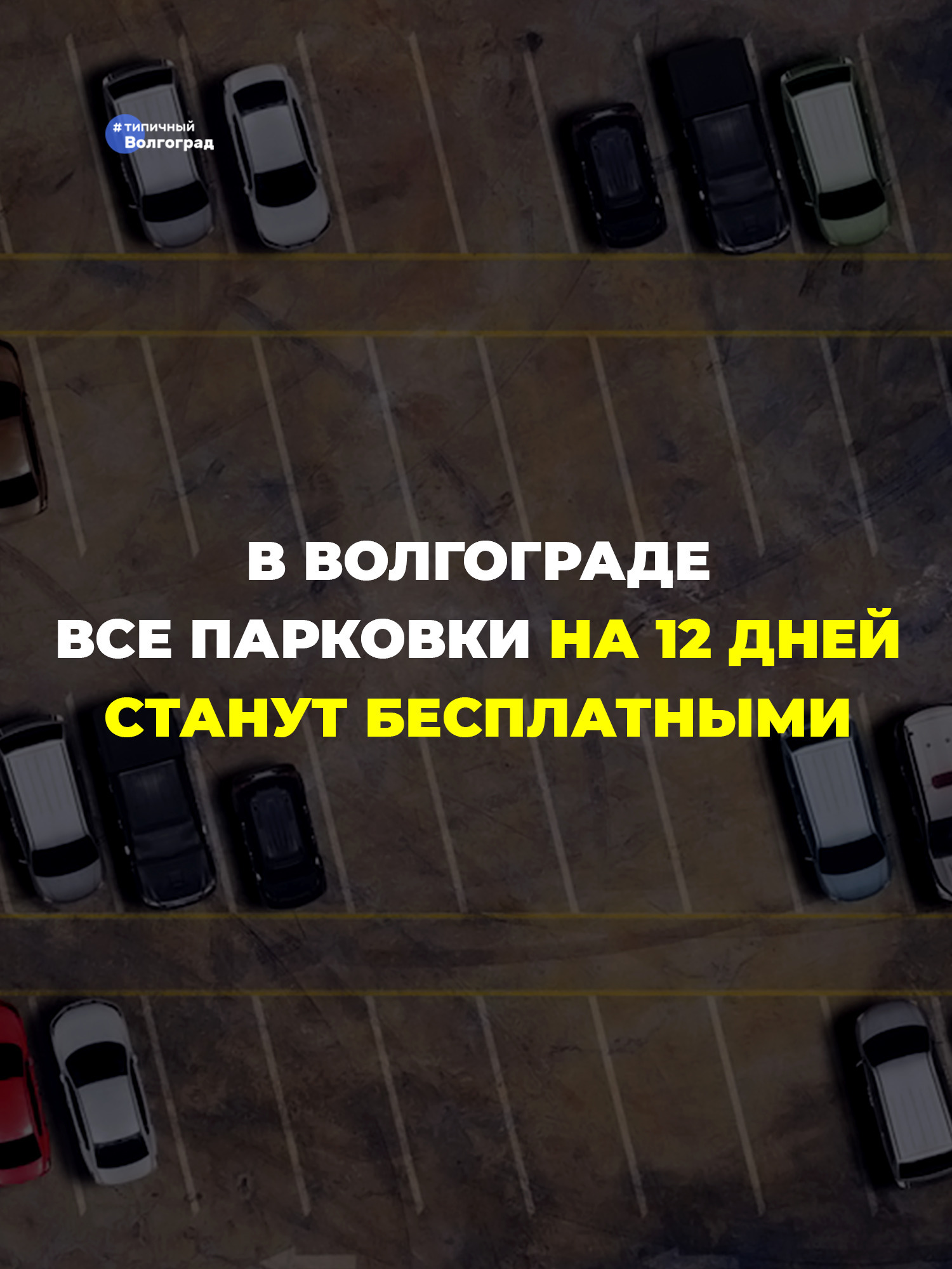 В Волгограде все платные парковки на 12 дней станут бесплатными! 👏🤩