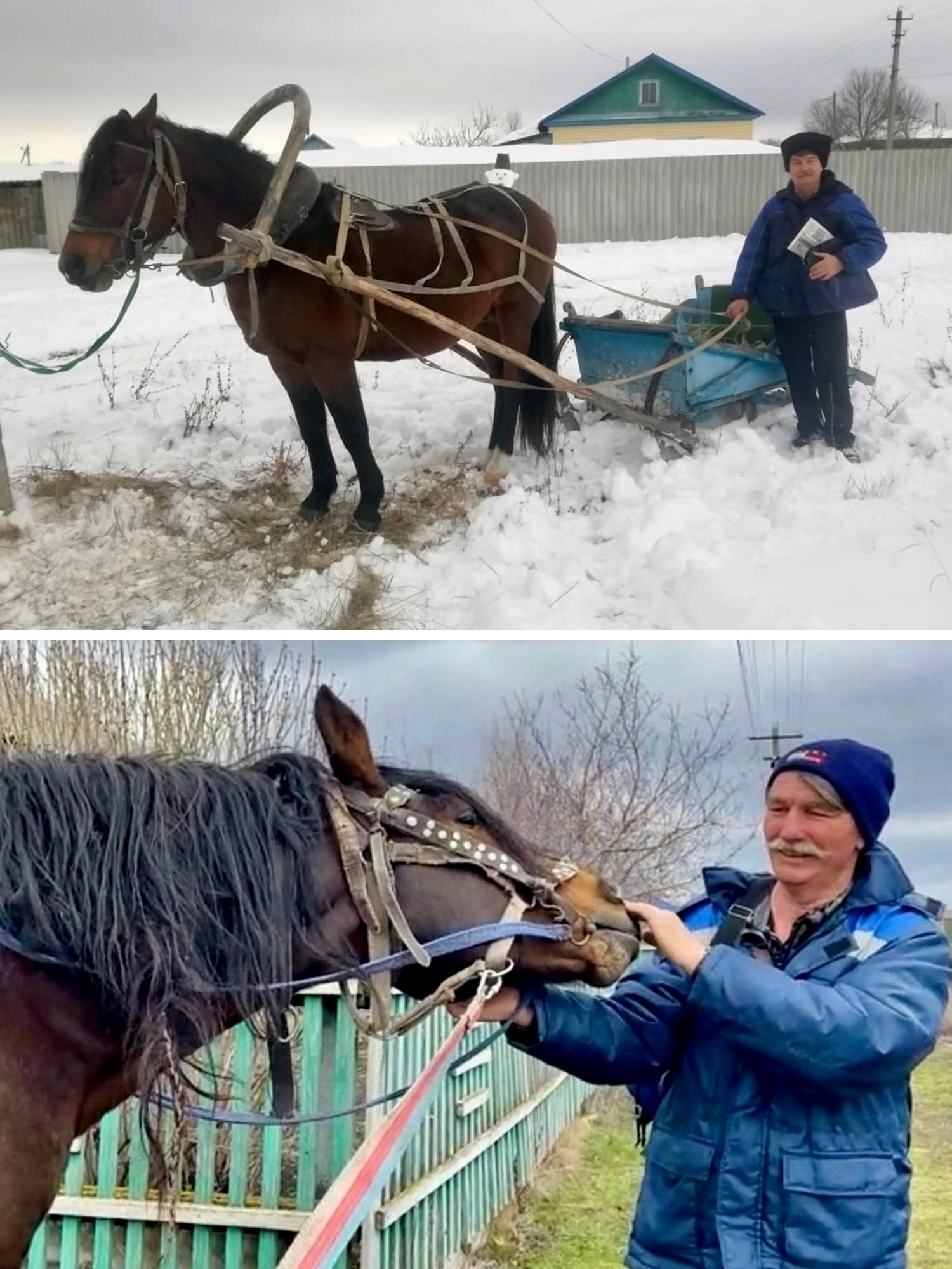 В Новоаннинском районе живёт почтальон Павел Попов, который доставляет почту верхом на коне! 👏🤩