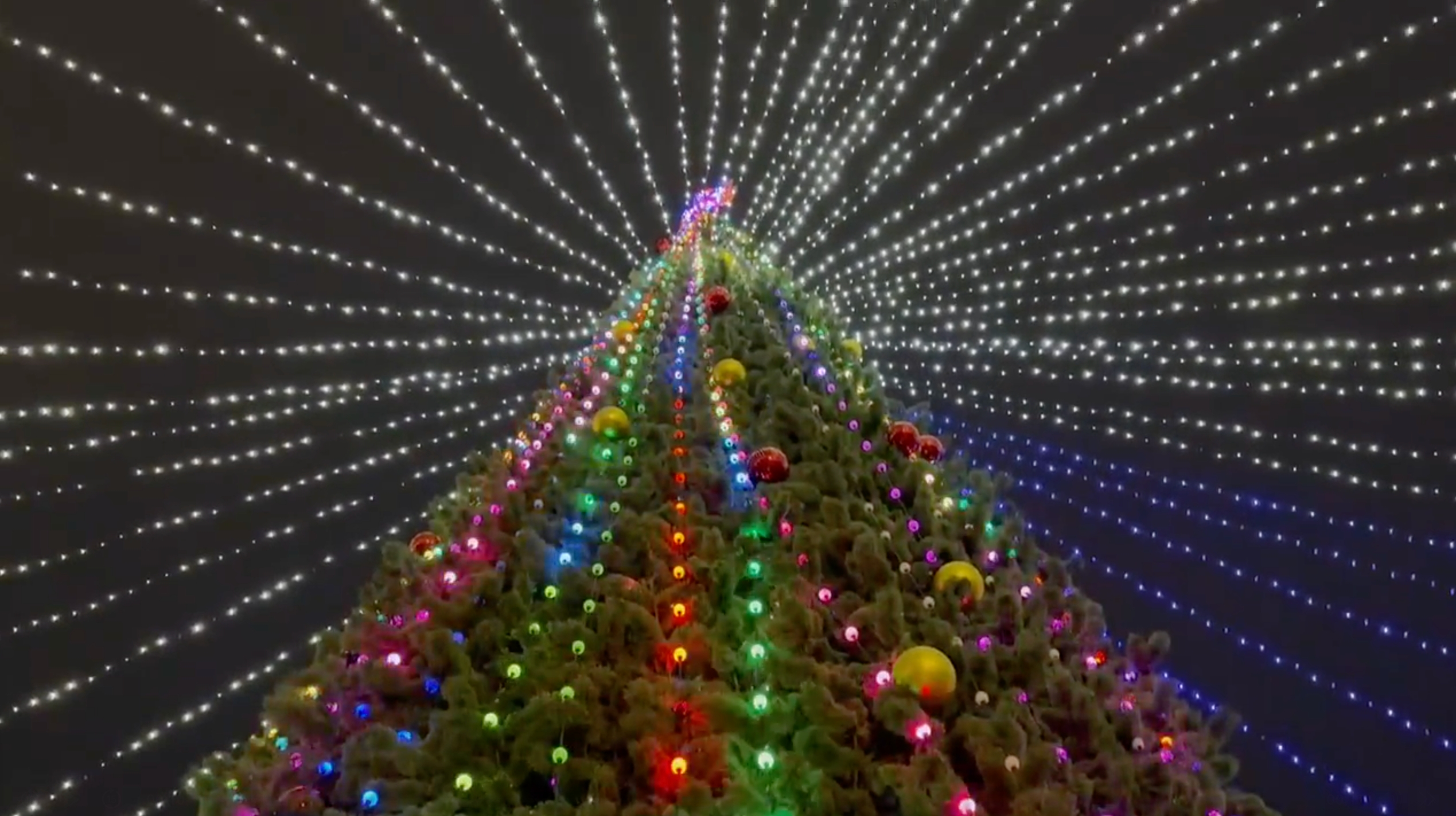 Ух ты! Посмотрите, какую красоту сделали в Волжском: настоящий сверкающий звёздный купол установили над главной городской новогодней ёлкой! …