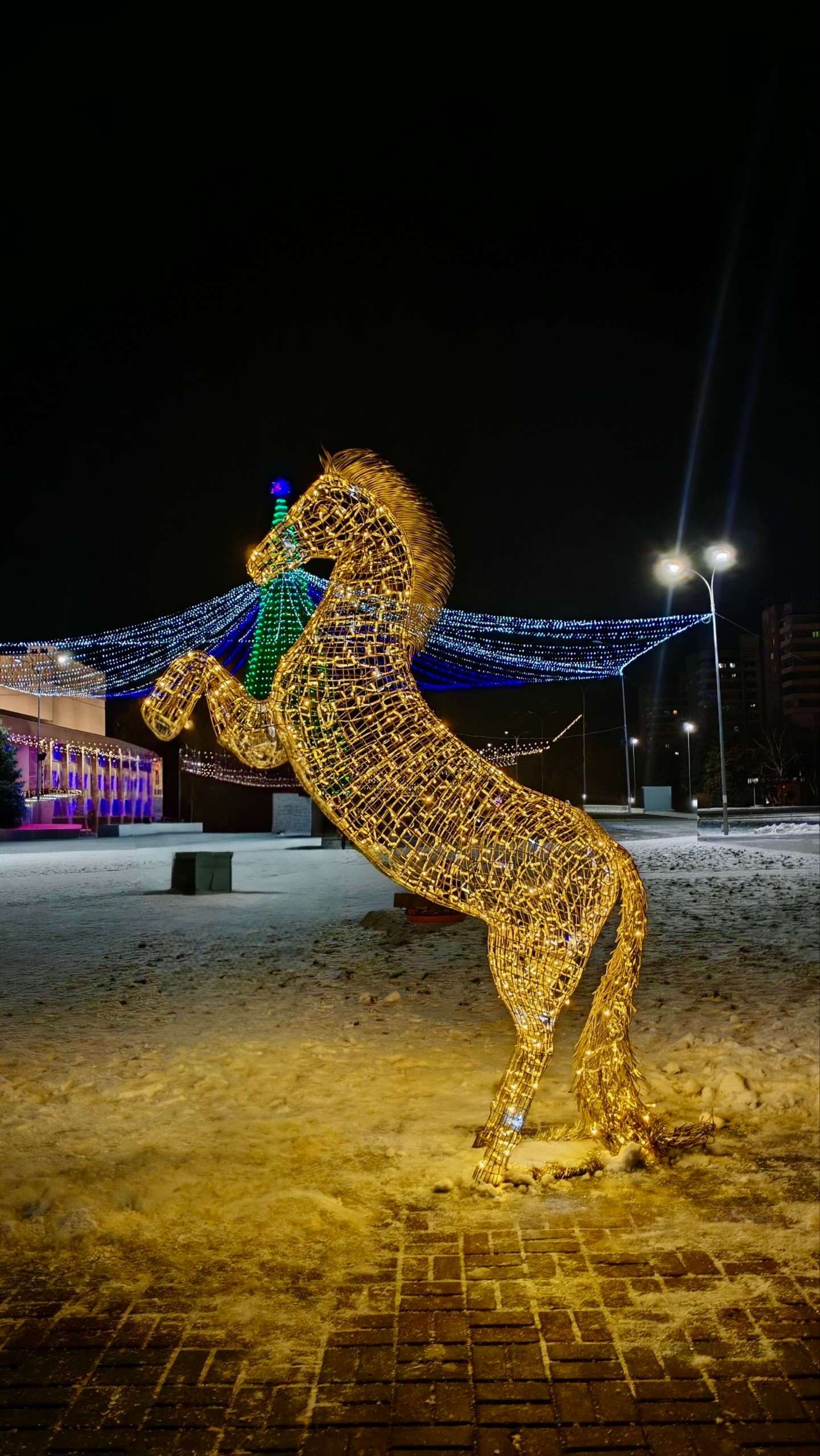 Наш прекрасный волшебный город 🎄✨