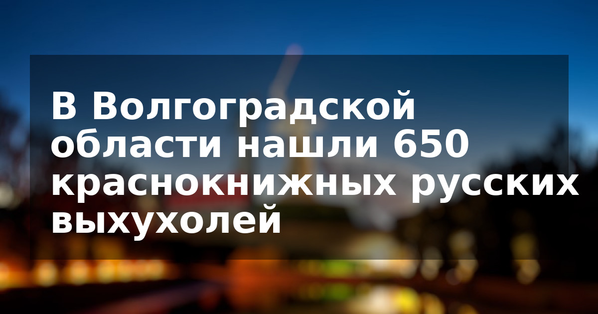 В Волгоградской области нашли 650 краснокнижных русских выхухолей