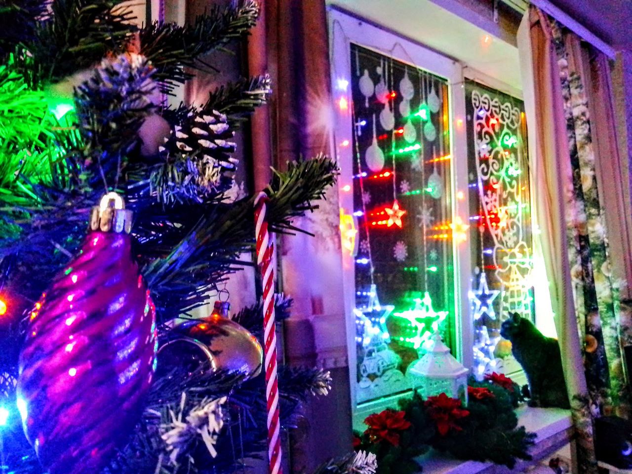 Окна с игрушками и Богородица с младенцем: волжане окутывают город «Магией праздника»