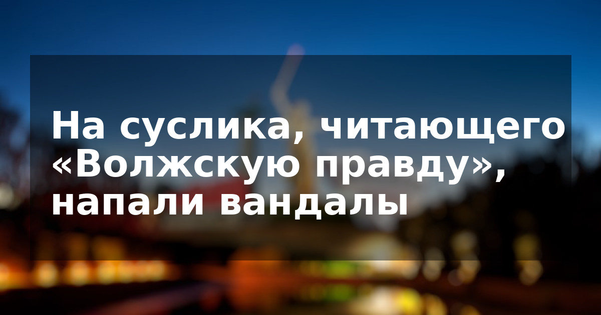 На суслика, читающего «Волжскую правду», напали вандалы