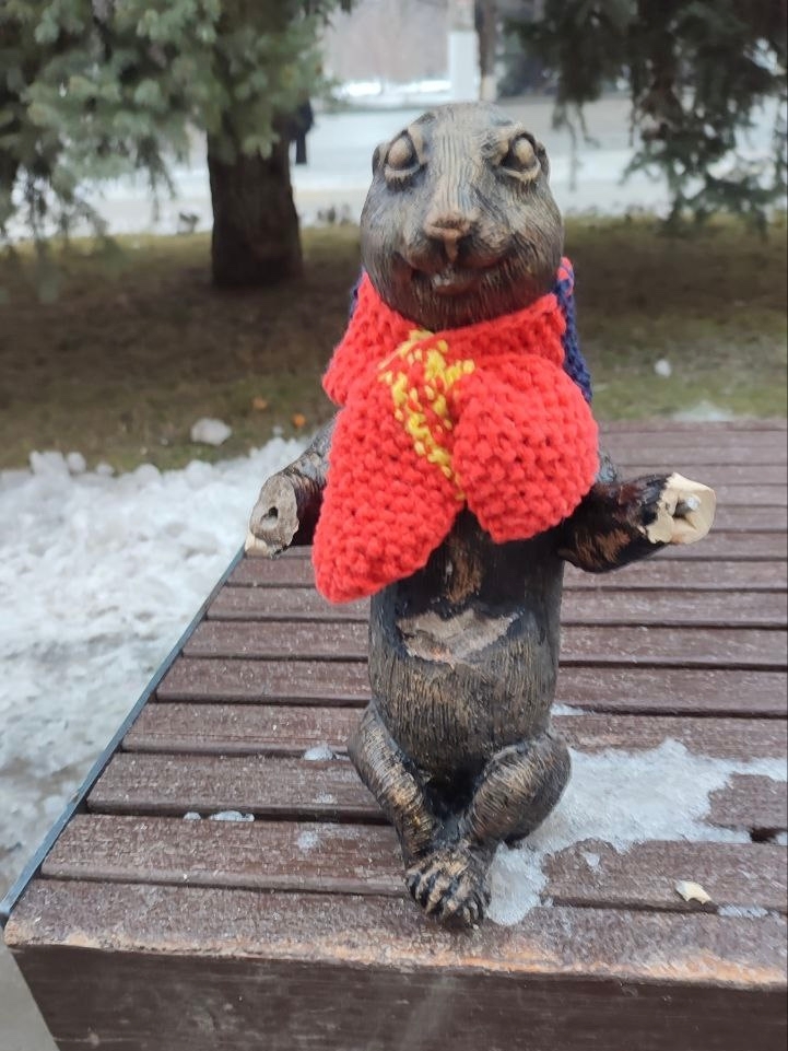 Местные вандалы оторвали суслику лапки 😭