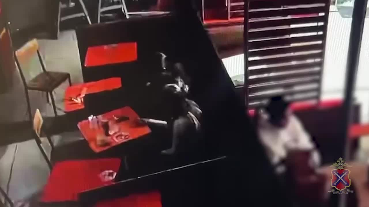 🔥 Не эксперимент, а преступление. Рубрика «извинения на камеру» пополнилась.