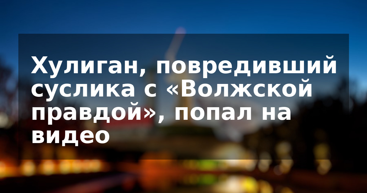 Хулиган, повредивший суслика с «Волжской правдой», попал на видео