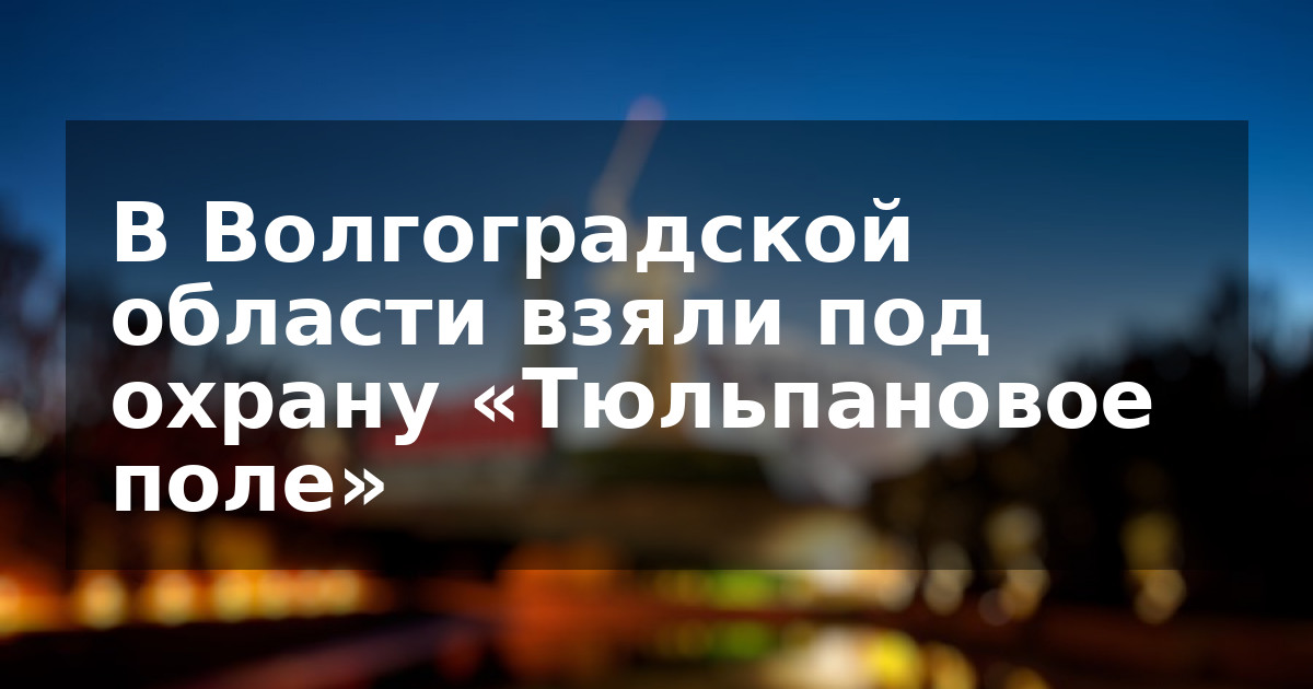 В Волгоградской области взяли под охрану «Тюльпановое поле»