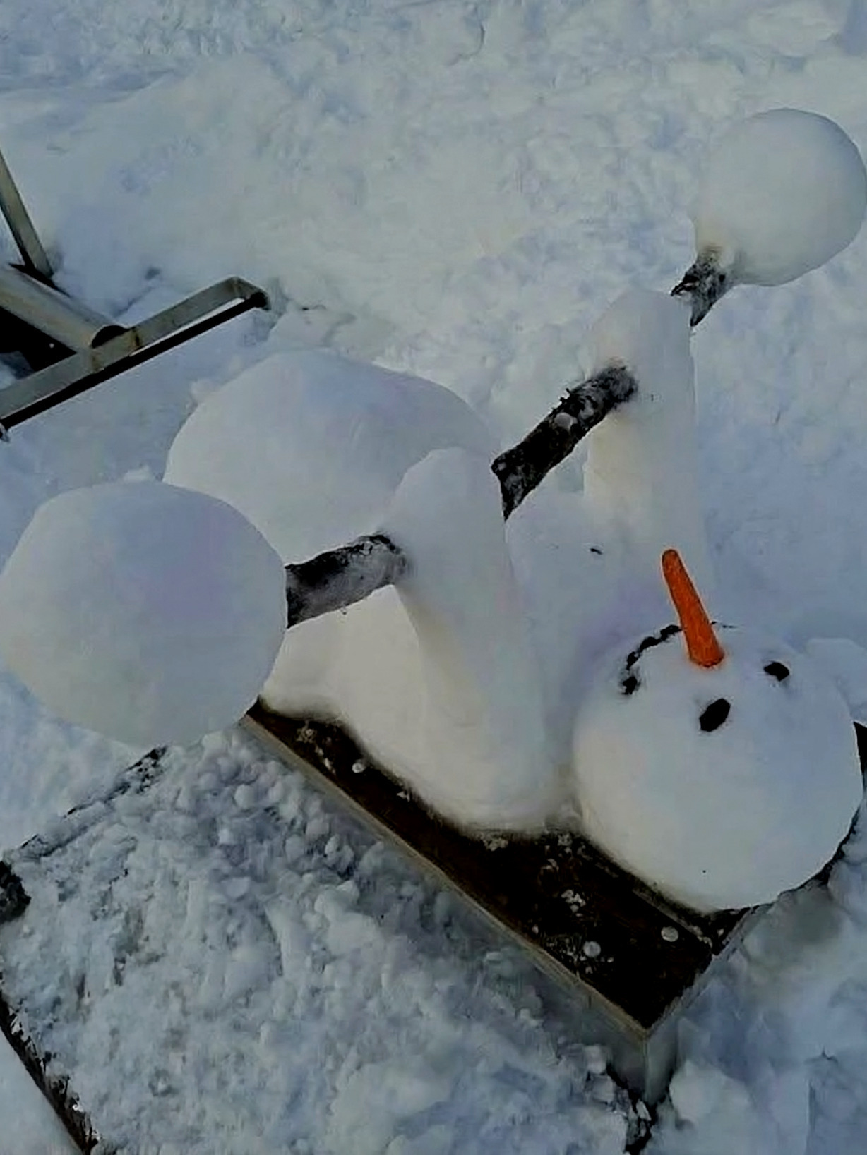 Хе-хе, только в Волгограде выпал свежий снег, волгоградцы тут как тут! 👏🤩