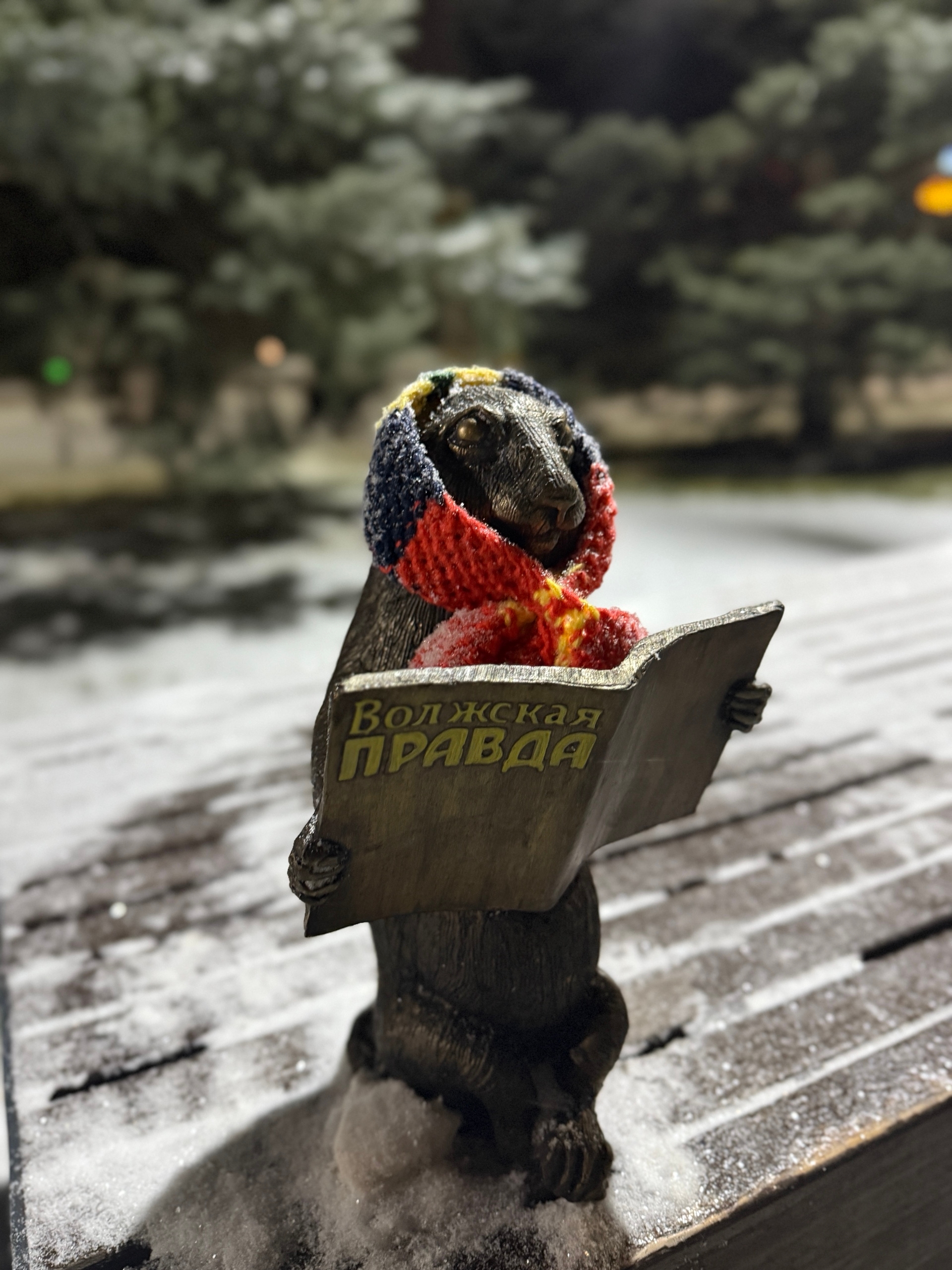 Еще несколько фото этого очаровательного суслика от нашей подписчицы ✨