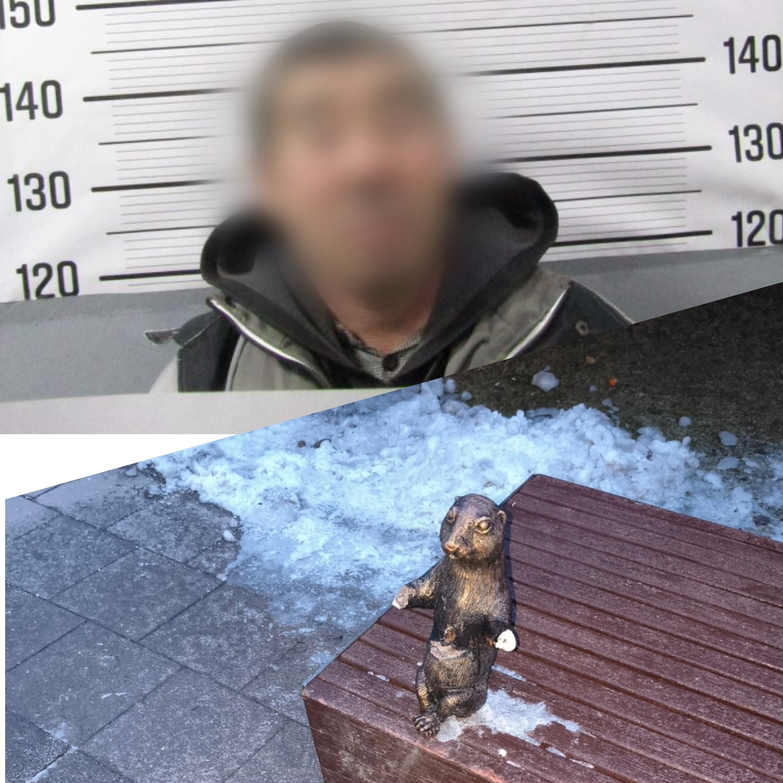 В Волжском задержали пьяного мужчину, который сломал фигурку суслика в общественном пространстве 😠. Подозреваемый не смог объяснить свой пос…