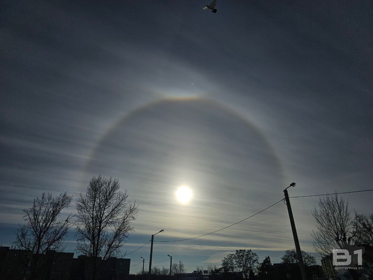 В Волжском наблюдали удивительное природное явление — эффект «Гало» 🌞🌤️. В небе вокруг солнца появилось яркое светящееся кольцо, создавая во…