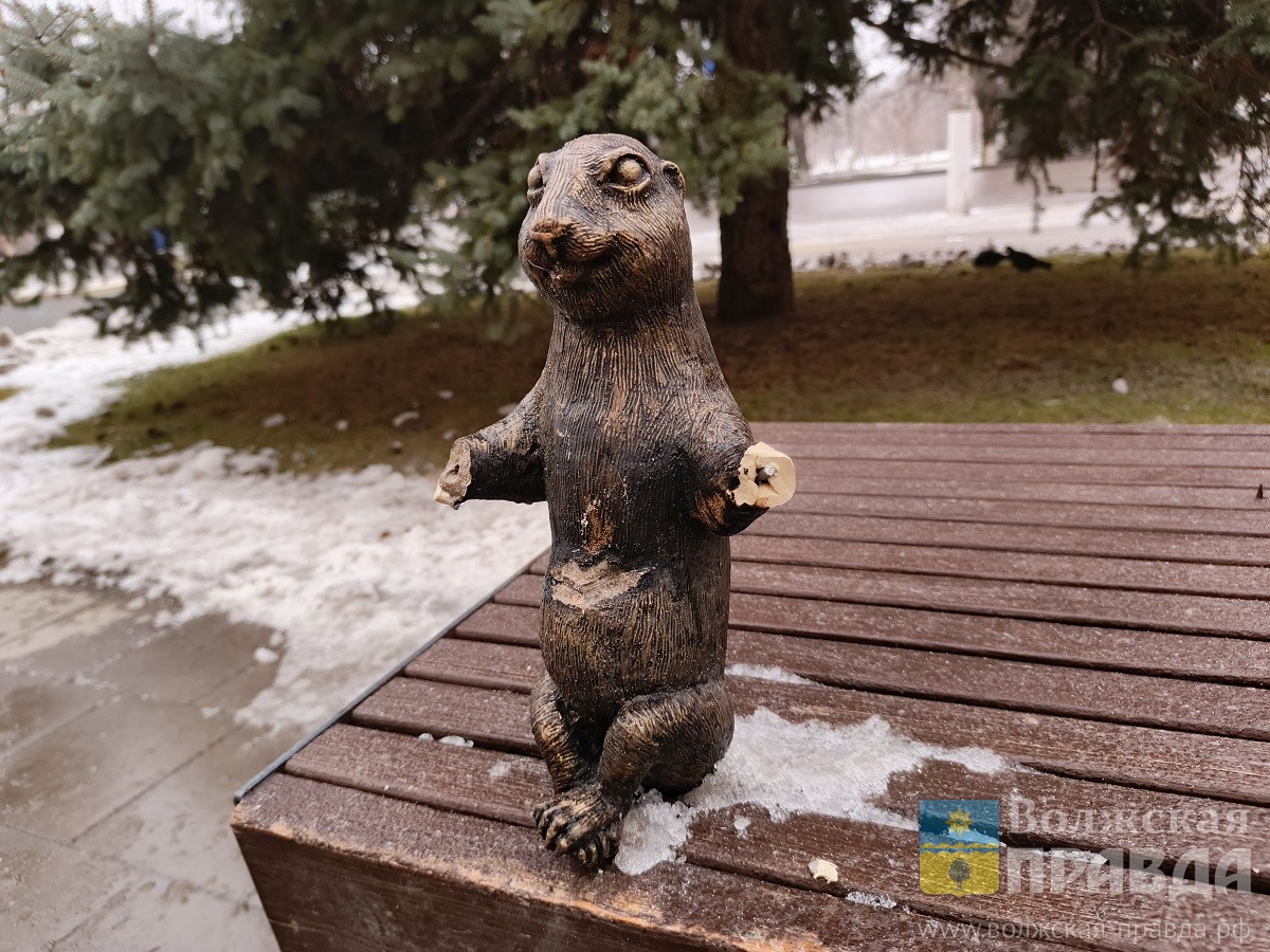 «Волжская правда» благодарит полицейских за задержание вандала