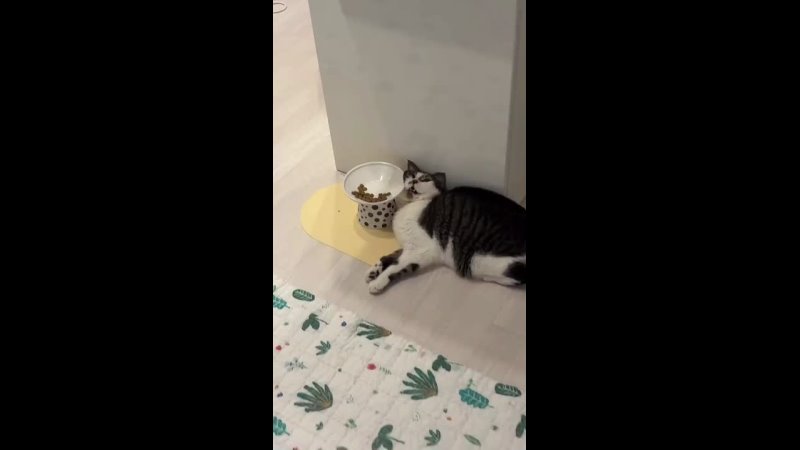 Когда надеешься, что легкий завтрак придаст сил с утра, но…