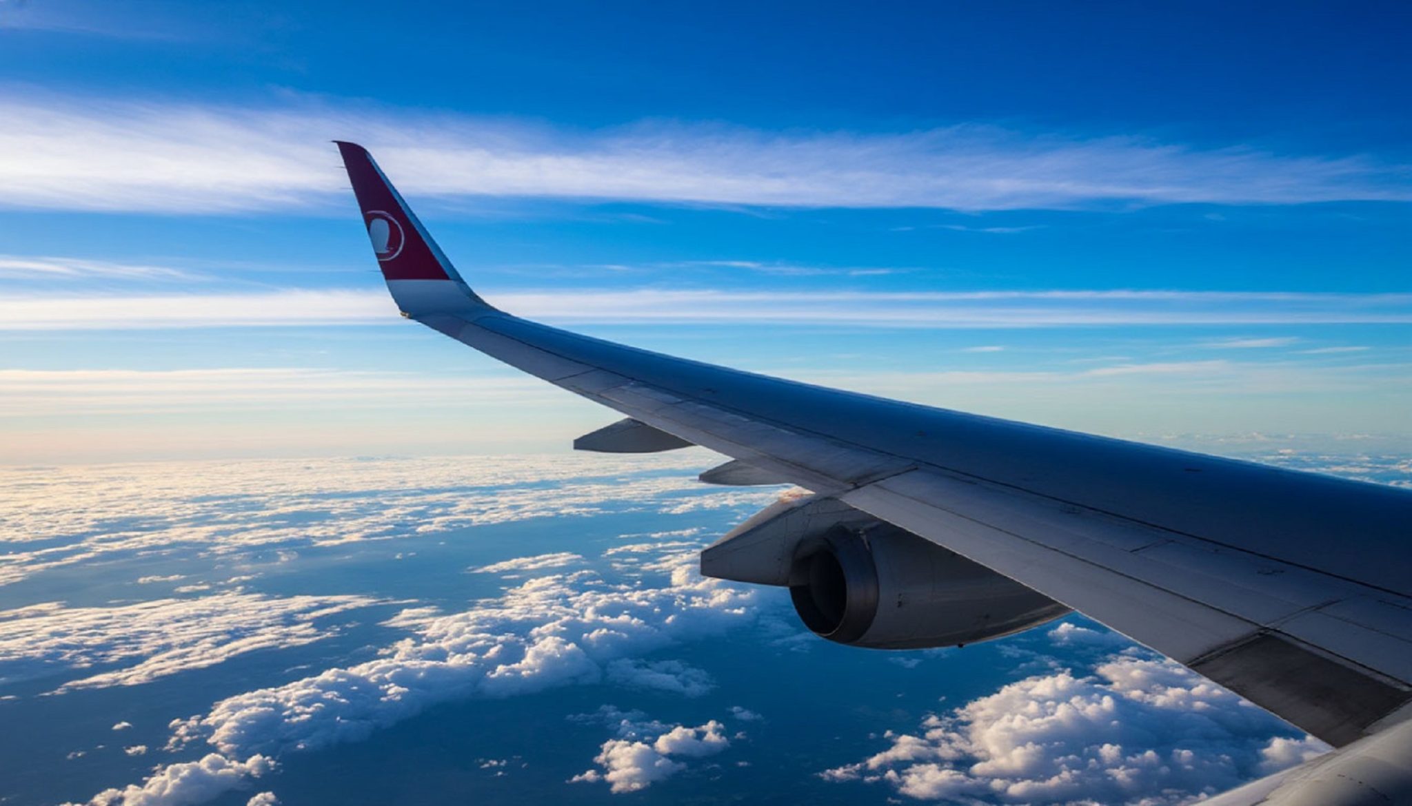 Защита от заморских вирусов: в Волгограде приземлились 14 самолётов с больными