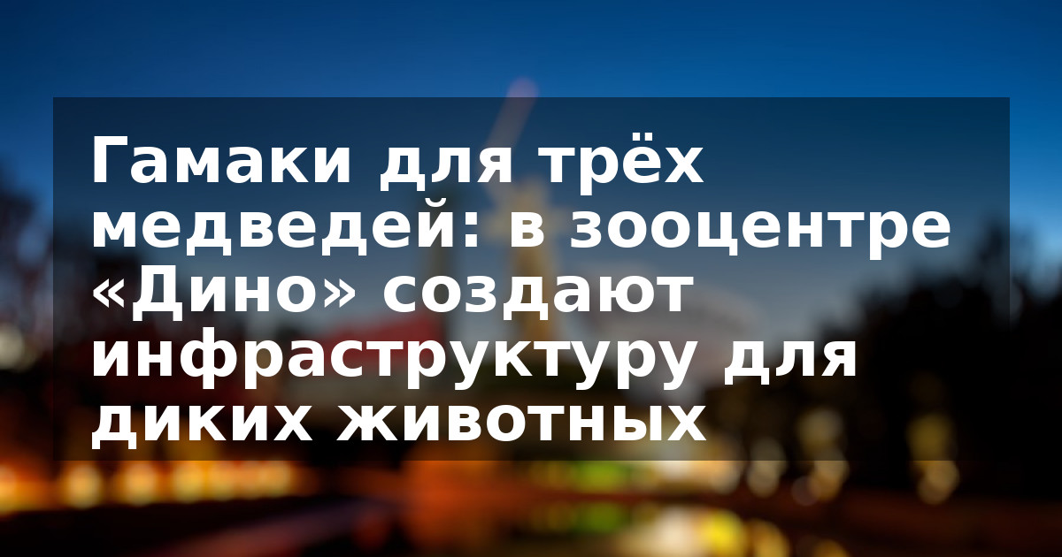 Гамаки для трёх медведей: в зооцентре «Дино» создают инфраструктуру для диких животных