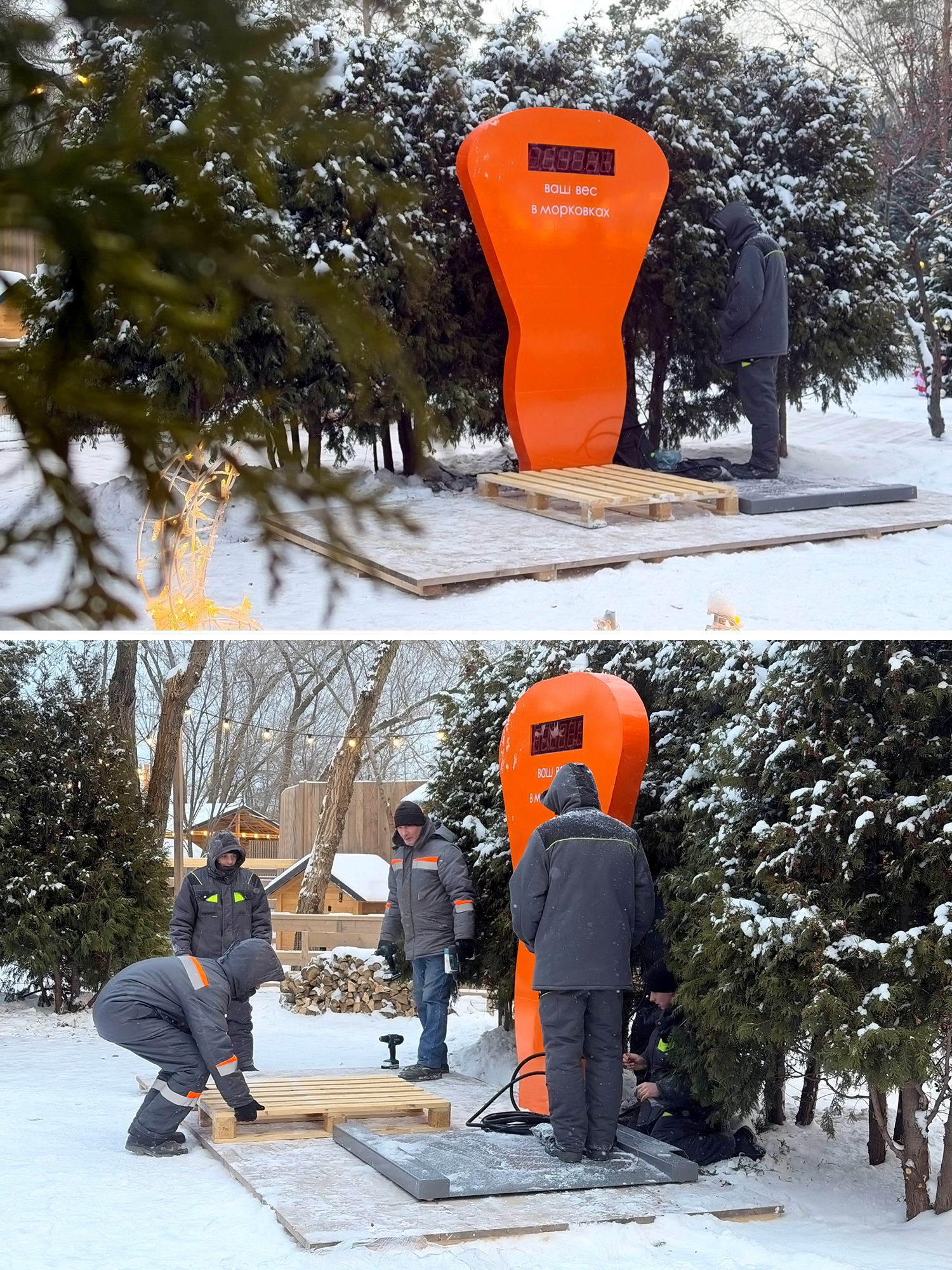 В парке ЦПКиО появились необычные весы, которые измеряют вес не в килограммах, а в... морковках! 👏🤩🥕