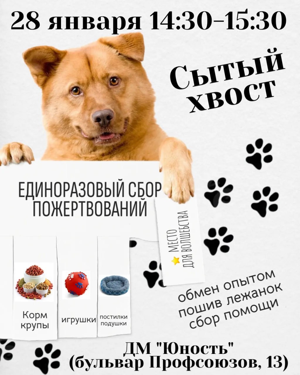 Поможем братьям меньшим пережить зиму! 🐶🐱