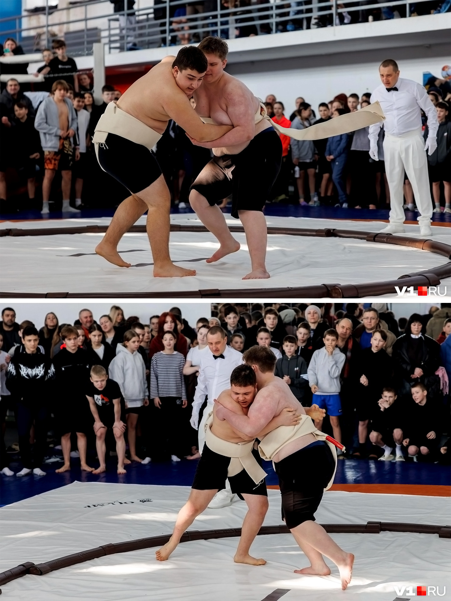 «Такого вы точно никогда не видели!»: в Волгограде впервые прошли соревнования по японской борьбе сумо! 👏🤩