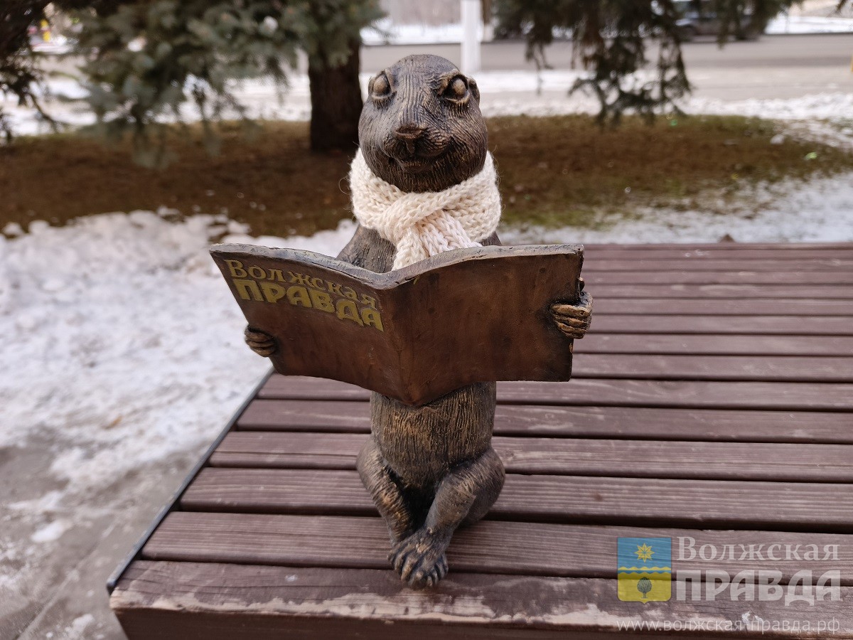 Нам пишут: жительницу Волжского возмутил вандал, повредивший суслика с газетой