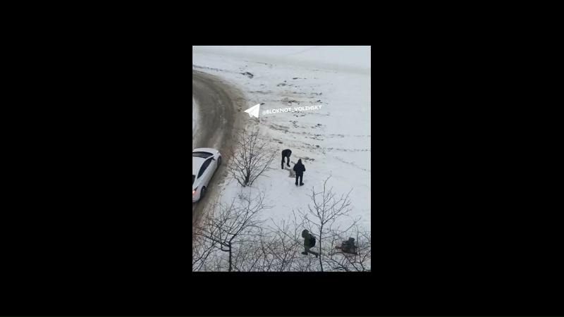 Во дворе дома №14 по ул. Оломоуцкой нашли мёртвую беременную самку редкой краснокнижной антилопы — сайгака 🦌. Свидетели видели шевеление в ж…