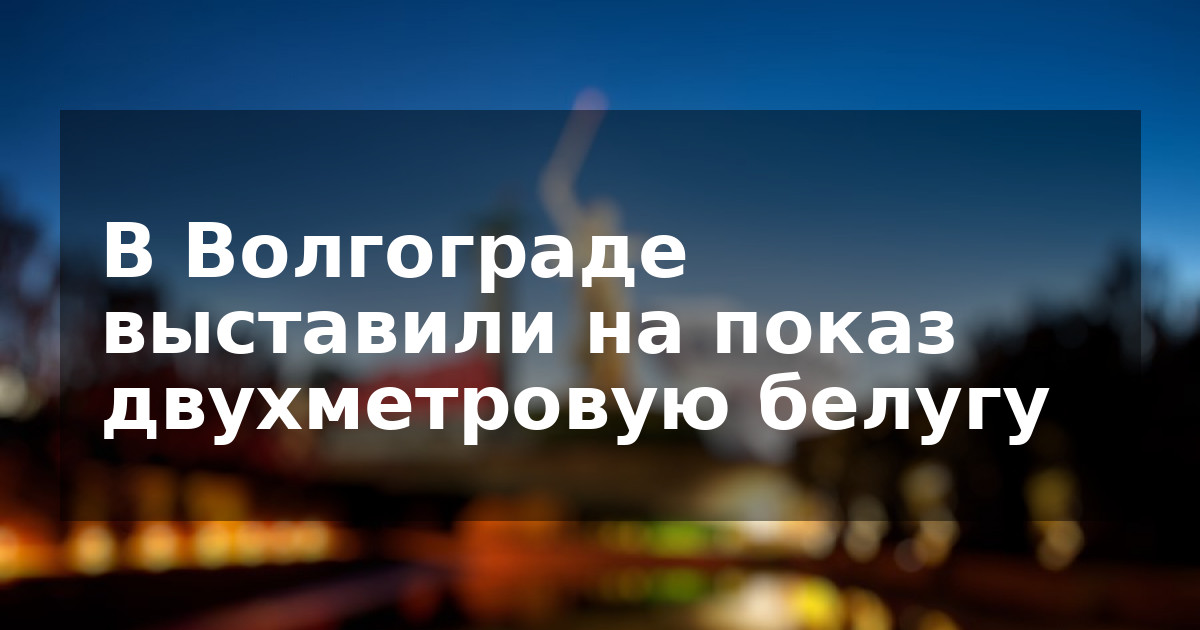 В Волгограде выставили на показ двухметровую белугу