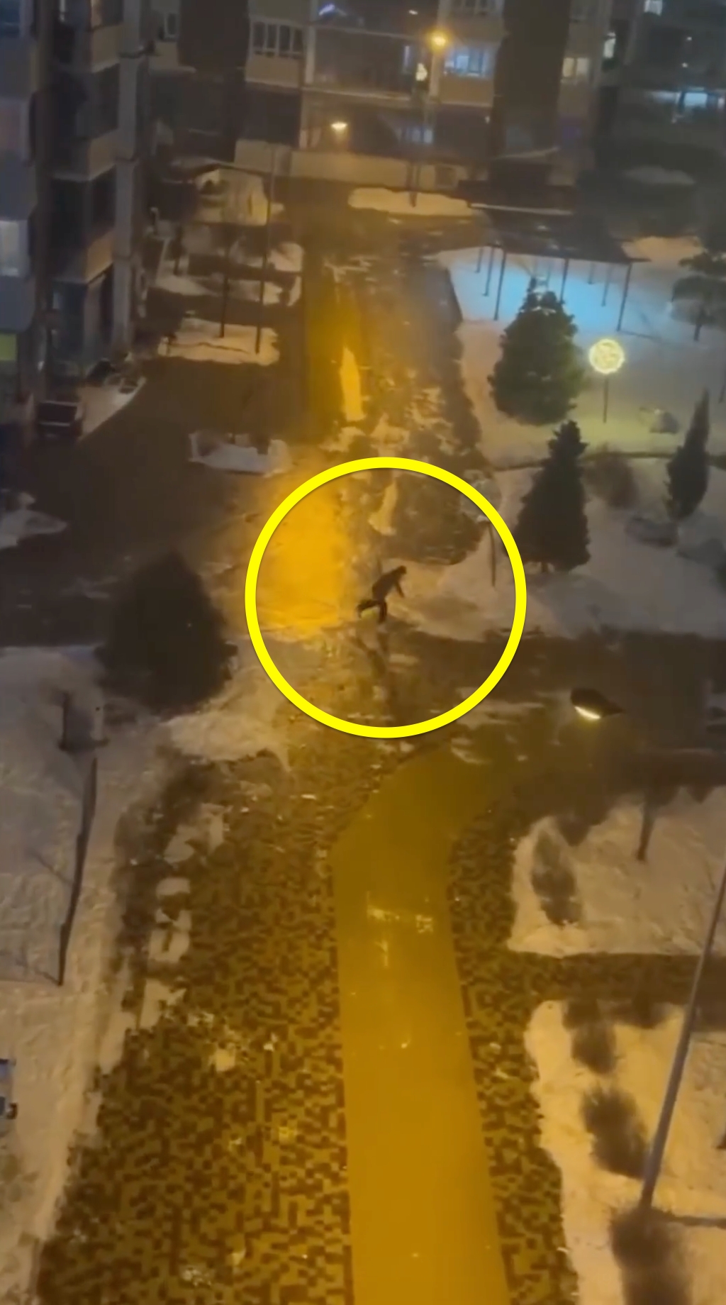 В Волгограде молодой человек проявил находчивость и отправился кататься на коньках по скользким, обледенелым улицам! 👏🤩