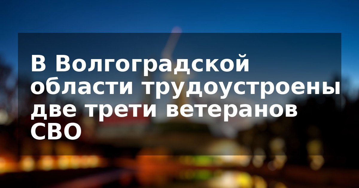 В Волгоградской области трудоустроены две трети ветеранов СВО