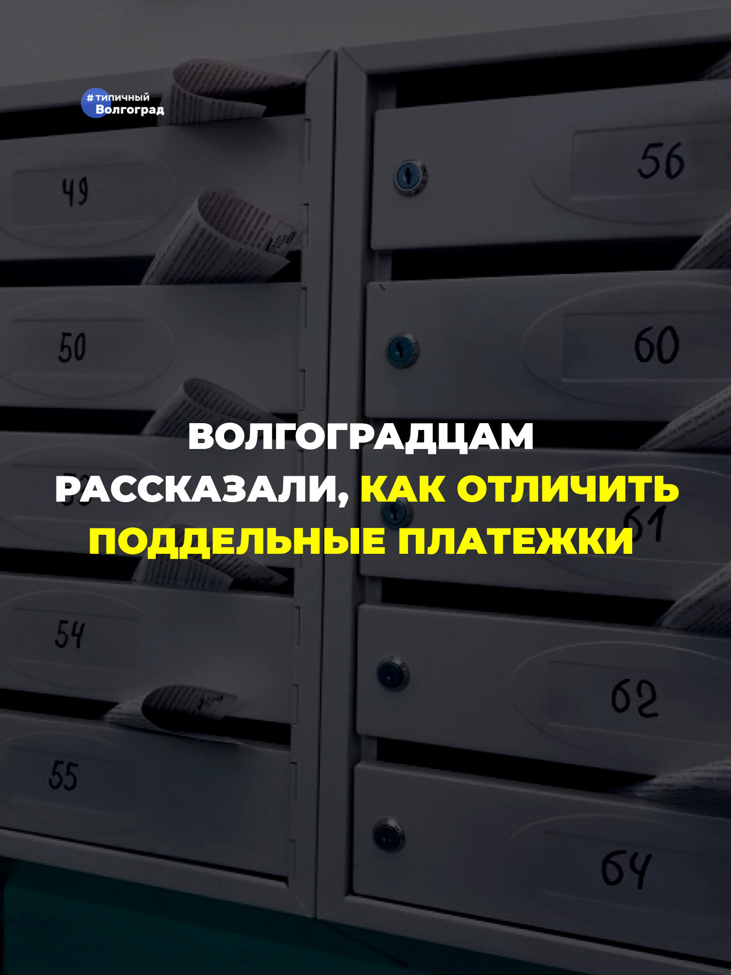 Волгоградцам рассказали, как распознать поддельные платежки за ЖКХ! ✅
