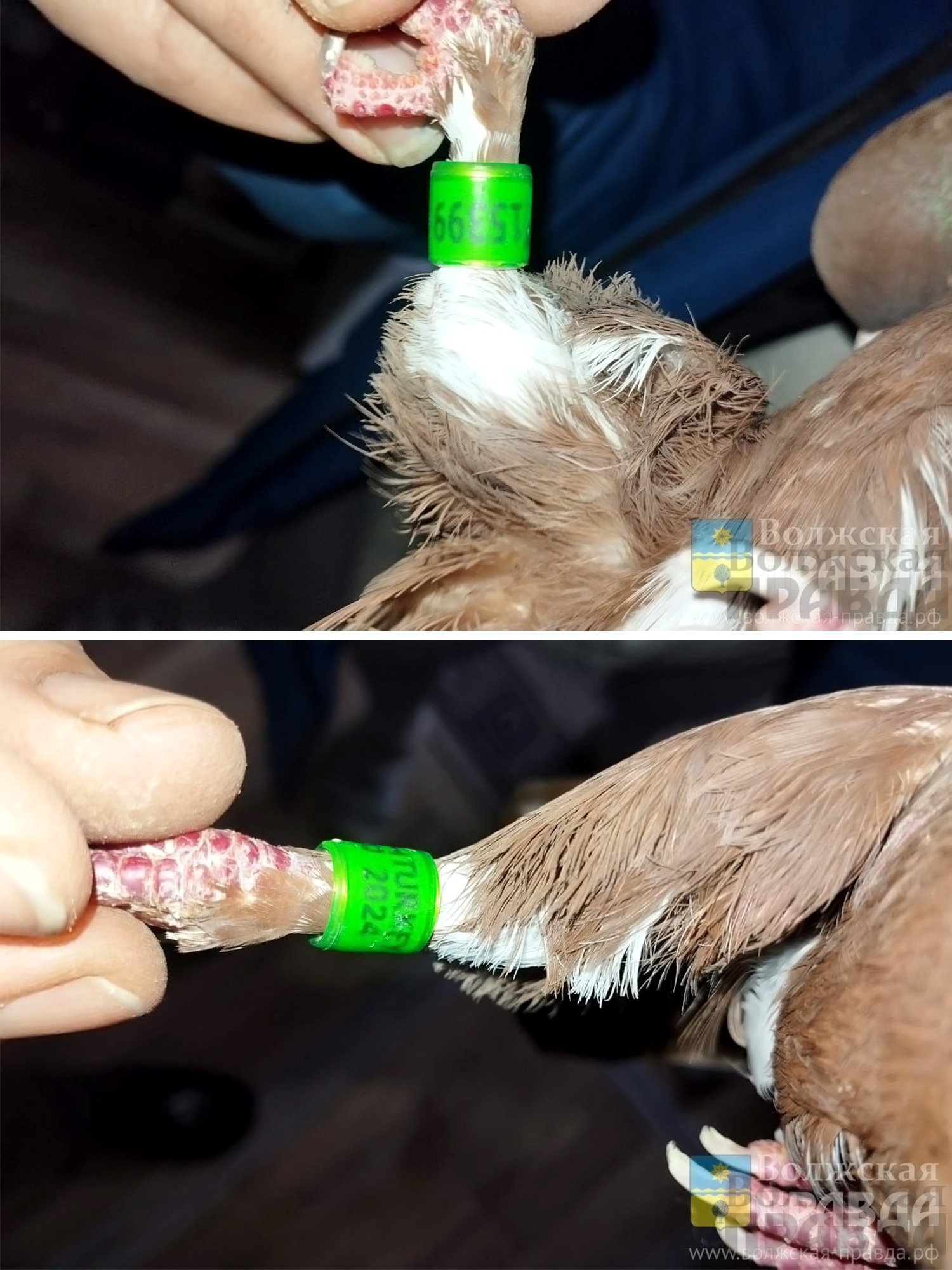 Вот это ничего себе! 👏🤩