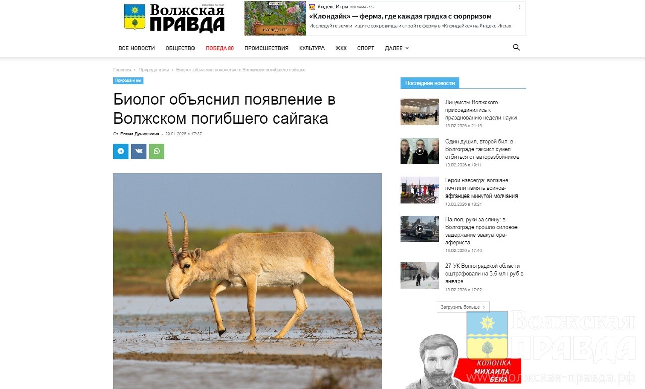 Думали – оказия, оказалось – инвазия: как читатели «Волжской правды» участвуют в составлении Красной книги региона