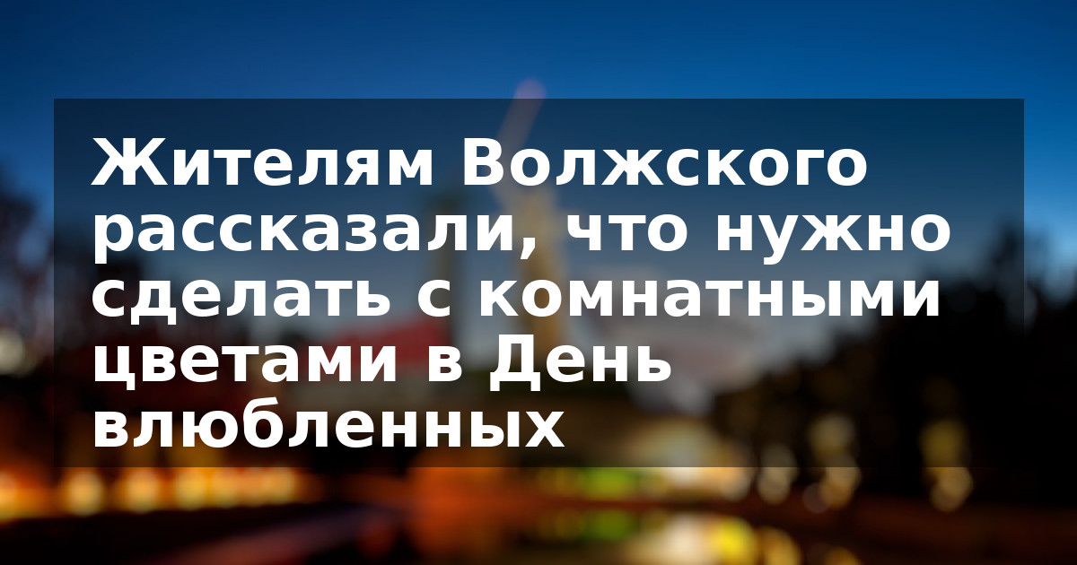 Жителям Волжского рассказали, что нужно сделать с комнатными цветами в День влюбленных