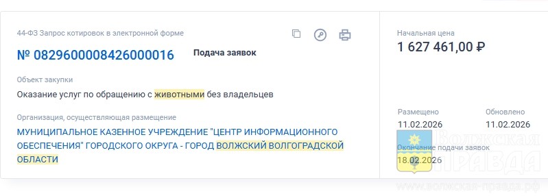 Изолятор, дезбарьер и «морг»: в Волжском  идут торги на содержание агрессивных животных  