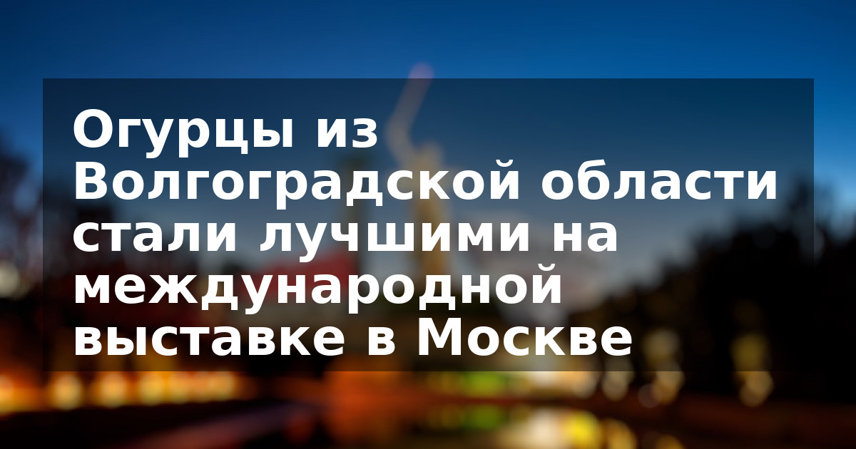 Огурцы из Волгоградской области стали лучшими на международной выставке в Москве