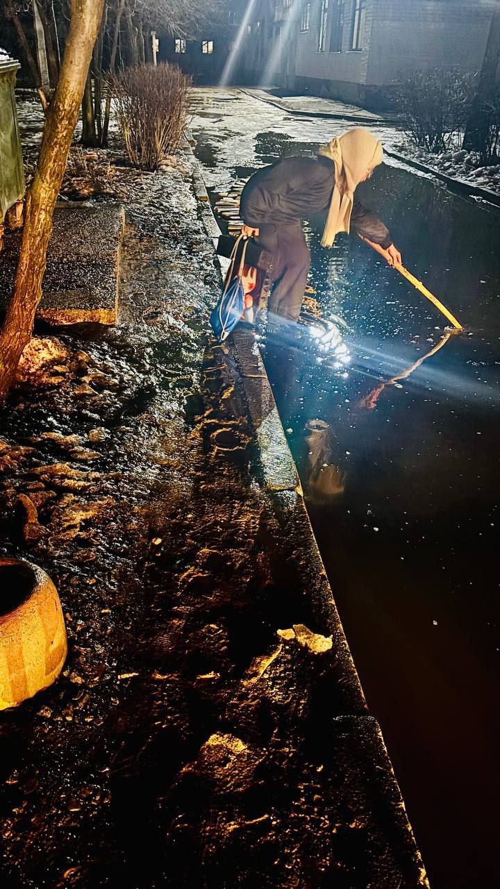 Здравствуйте! Летом прошлого года , я  уже задавал вопрос по поводу того, когда наведут порядок в школе «Этос»? Была как всегда отписка по р…