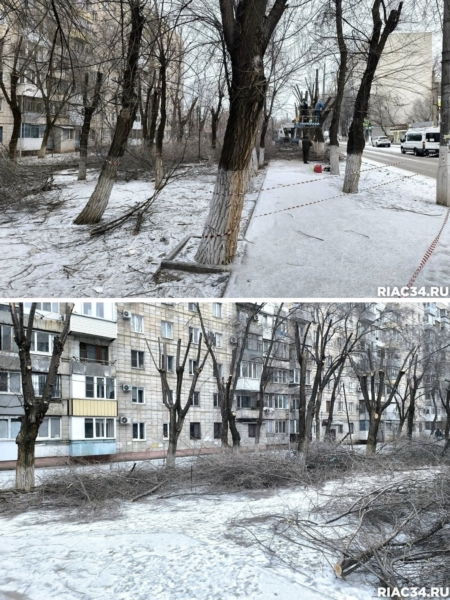 На Тулака в Советском районе приступили к обрезке деревьев. Впервые за долгое время это делают зимой, до начала сокодвижения! 🌳✂️