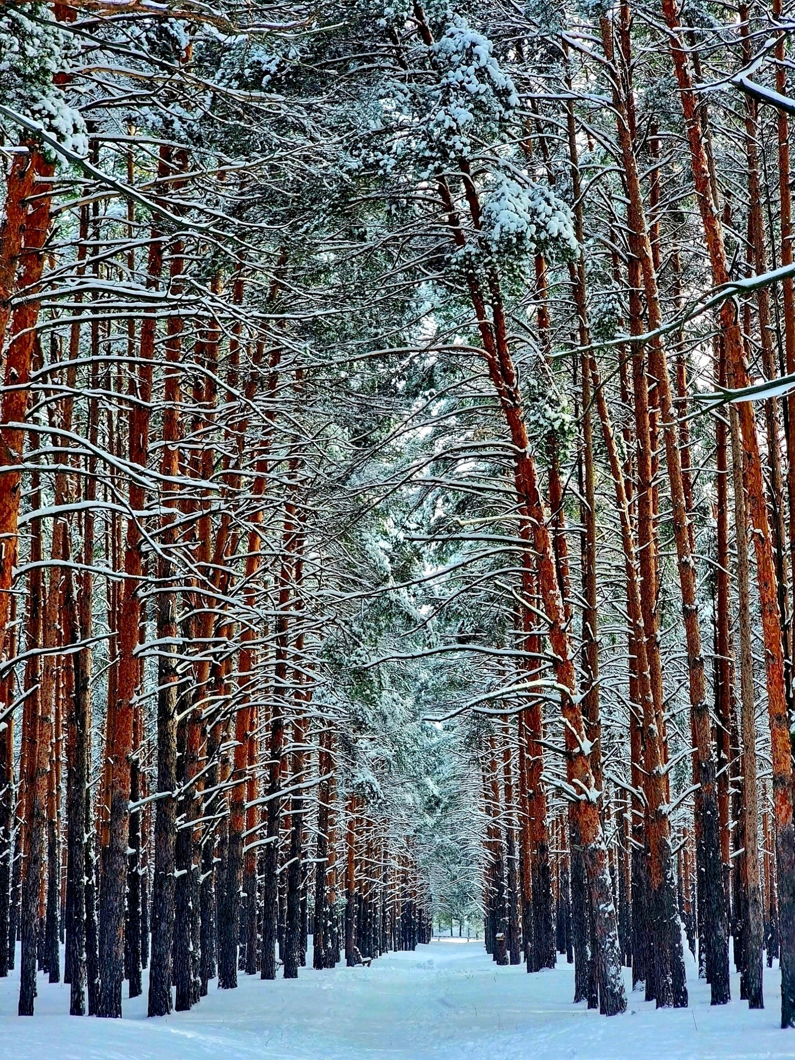 Сергей Мазанов из Волгограда сделал потрясающие снимки завораживающих узоров волгоградской зимы! 👏😍