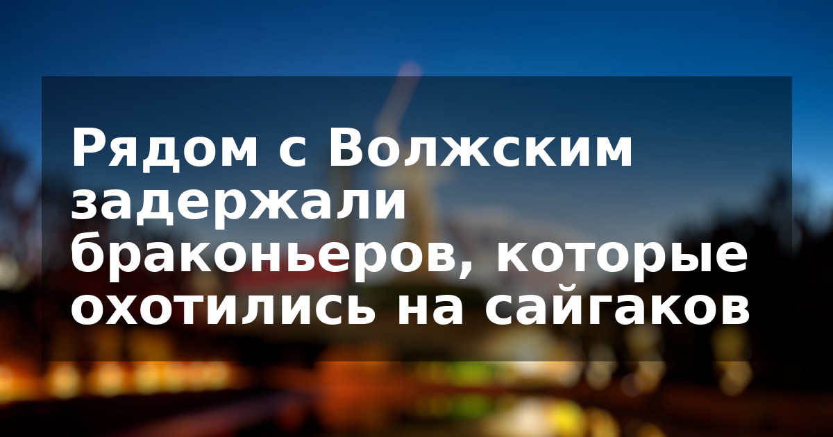 Рядом с Волжским задержали браконьеров, которые охотились на сайгаков