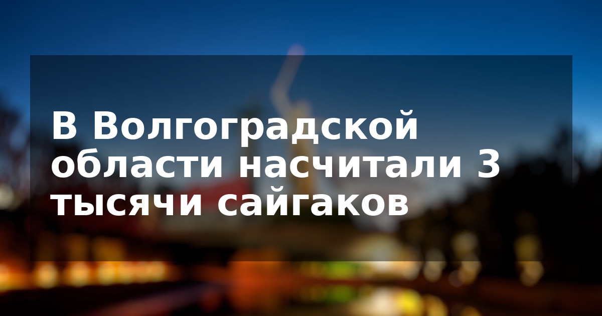 В Волгоградской области насчитали 3 тысячи сайгаков