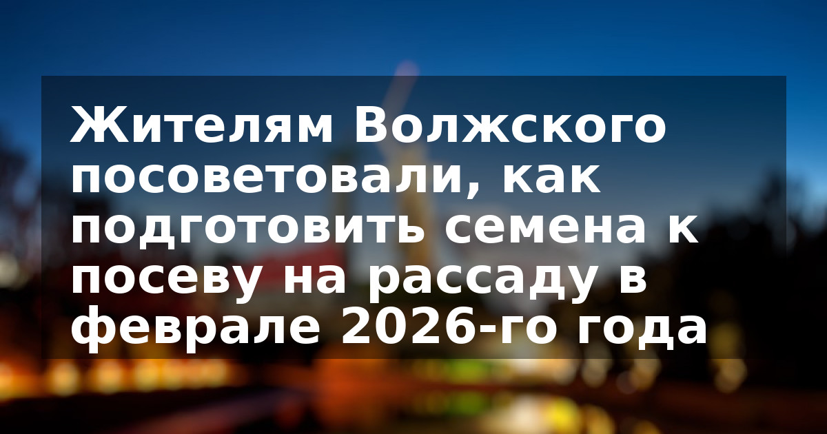 Жителям Волжского посоветовали, как подготовить семена к посеву на рассаду в феврале 2026-го года