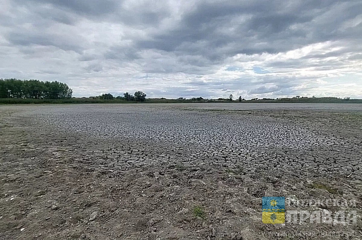 В Волго-Ахтубинской пойме построят 32-километровый канал за 2,4 млн